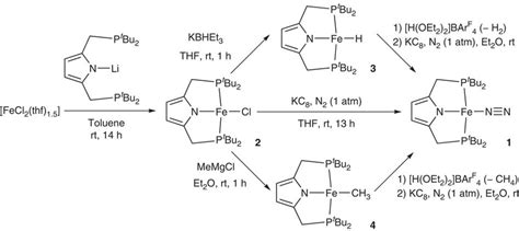 Synthesis and reactivity of iron complexes. The reaction of iron(II ...