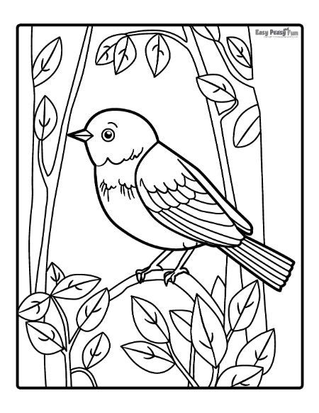 Bird Coloring Pages Printable