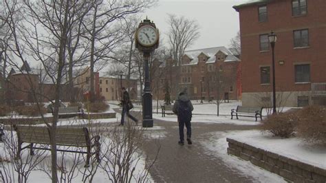 Students, profs want UPEI included in Freedom of Information Act | CBC News