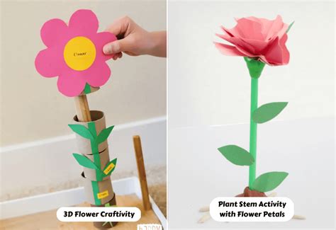 Parts Of A Flower For Kids Worksheet