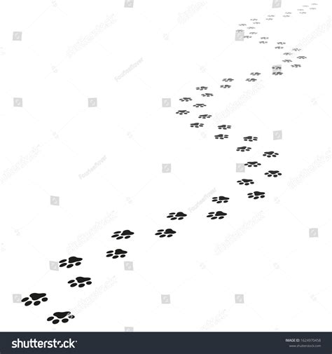 Paw Print Trail Vector Illustration Stock Vector (Royalty Free ...