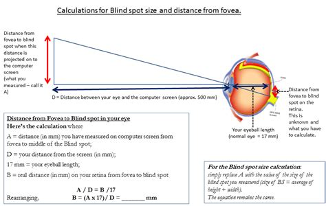 Blind spot - Vision experiments