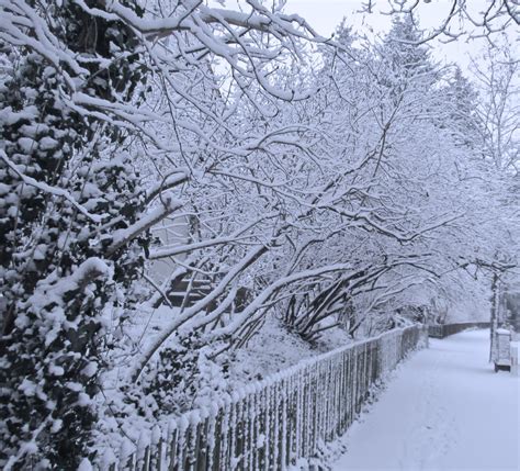 snowy winter scenery Free Photo Download | FreeImages