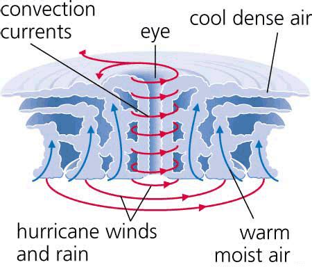 Labelled Cyclone Diagram