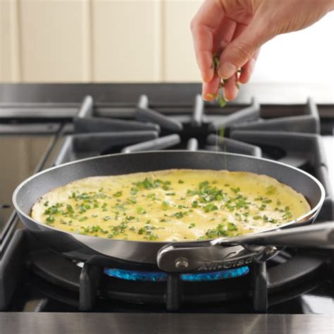 All-Clad d5 Stainless-Steel Nonstick Omelette Pan | Williams-Sonoma