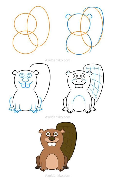 How to draw a beaver - Comment dessiner un castor | Cartoon drawings ...