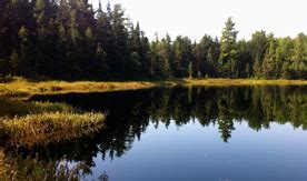 Northeastern lakes recovering from acid rain effects more rapidly