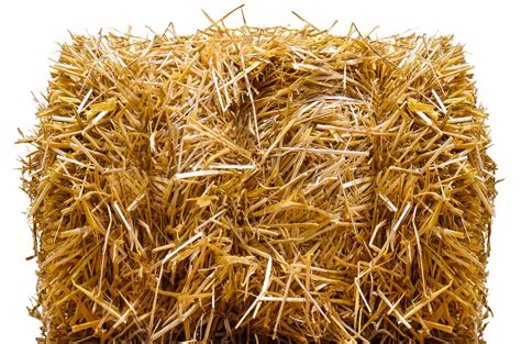 Hay clipart stacked hay bales, Hay stacked hay bales Transparent FREE ...