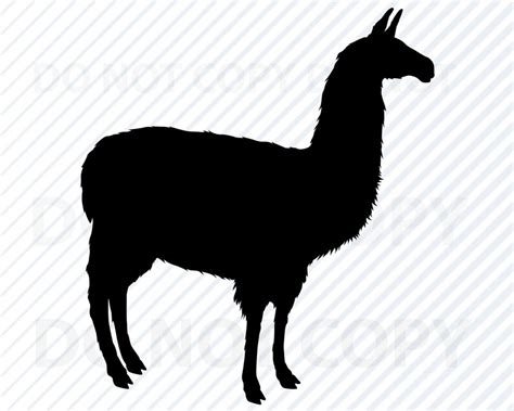 Llama Silhouette Svg - 2094+ Crafter Files - Free Download SVG Photos ...