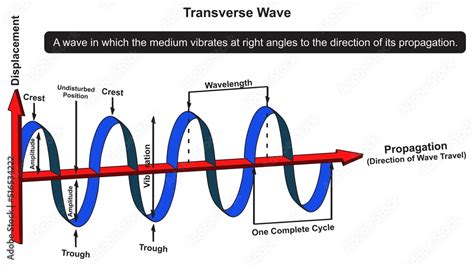 Transverse wave infographic diagram physics science education ...