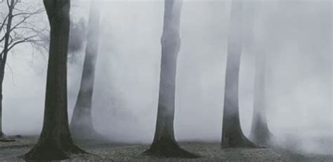 Foggy Nature GIF - Foggy Fog Nature - Discover & Share GIFs