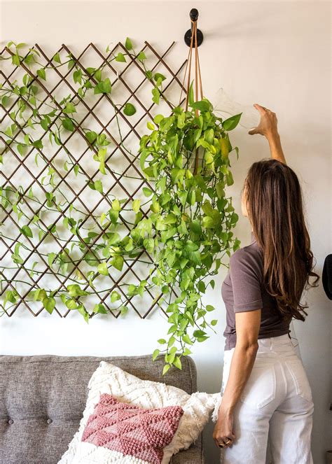 10+ Wall Plant Decor Ideas – DECOOMO