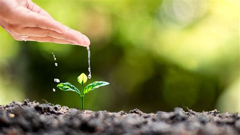 Organic fertilizers in the soil - ASPAGRO