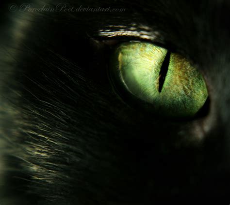 Midnight's Eye by PorcelainPoet on DeviantArt