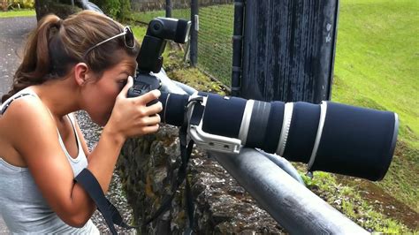 Bird and Wildlife Photography Equipment: Lenses, cameras ...