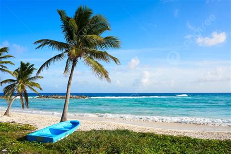 Chen Rio Beach Cozumel Island In Riviera Maya Of Mayan Mexico ...