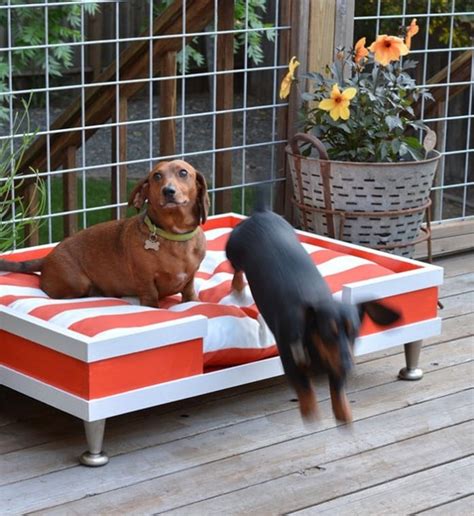 20 Cool Outdoor Dog Beds that Are Also Comfortable