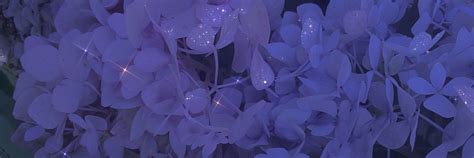 𝐓𝐰𝐢𝐭𝐭𝐞𝐫 𝐇𝐞𝐚𝐝𝐞𝐫 𝐏𝐮𝐫𝐩𝐥𝐞 𝐀𝐞𝐬𝐭𝐡𝐞𝐭𝐢𝐜 🫐 | Flower header, Purple aesthetic ...