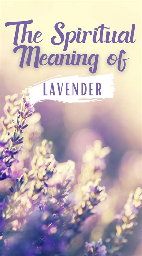 What is the spiritual meaning of lavender? | Plant symbolism, Spiritual ...