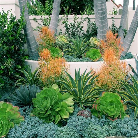 Incredible 15 Succulents Garden Ideas For Your Front Yard # ...