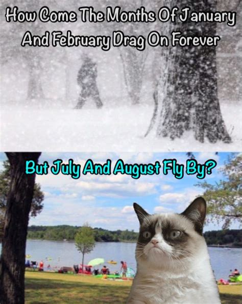 Grumpy Cat Says The Summer Months Goes By Way Too Fast!! | Grumpy cat ...