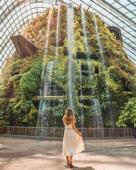 Cloud forest, Singapore - largest indoor waterfall | Singapore photos ...