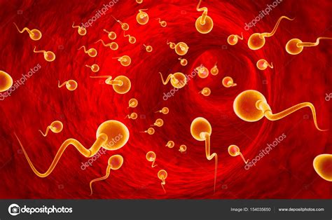 Fight for survival. Competing spermatozoa. Movement of spermatozoa ...