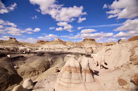 Bisti Wilderness: Explore Alien Landscapes