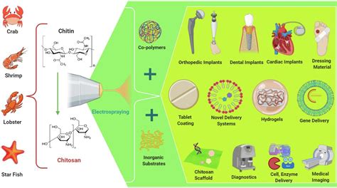 Electrospraying: A facile technology unfolding the chitosan based drug ...