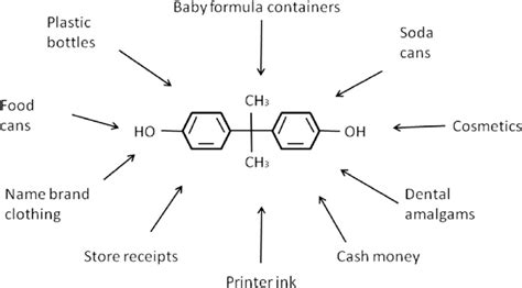 Sources of contamination with bisphenol A. | Download Scientific Diagram