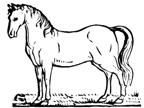 Fun Horse Coloring Pages for Your Kids Printable