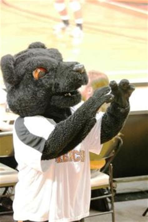 12 Mercer Mascot ideas | mercer, mercer university, mascot