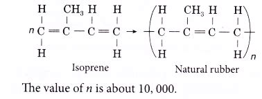 natural rubber mechanical properties Archives - CBSE Library