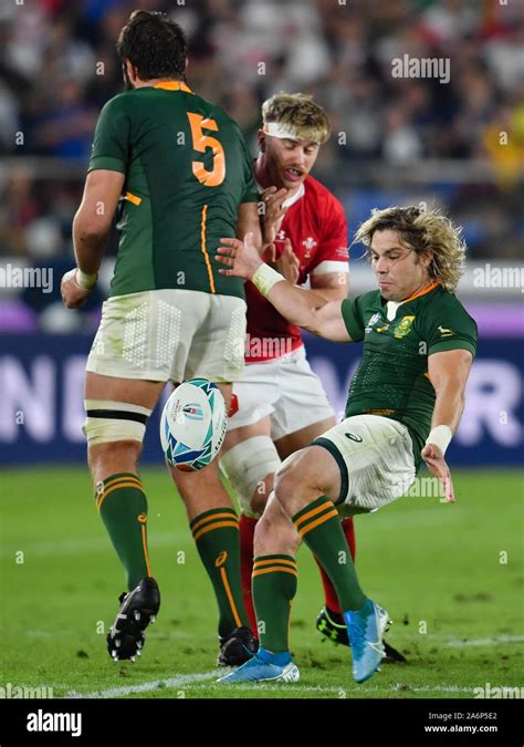 South Africa's Faf de Klerk box kicks during the 2019 Rugby World Cup ...