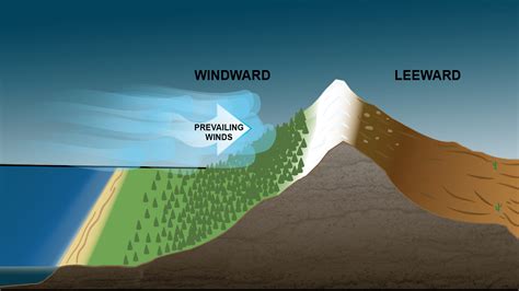 The Role of Wind