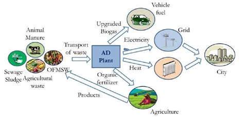 Various uses of biogas (Williams, 2005) | Download Scientific Diagram