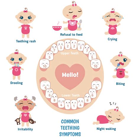 Four Signs of a Teething Baby - Anchorage Pediatric Dentistry