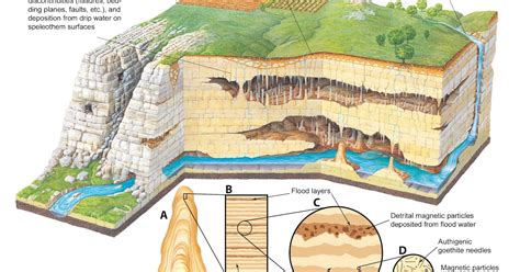 Labelled Stalactites And Stalagmites Diagram - Learn how to use ...