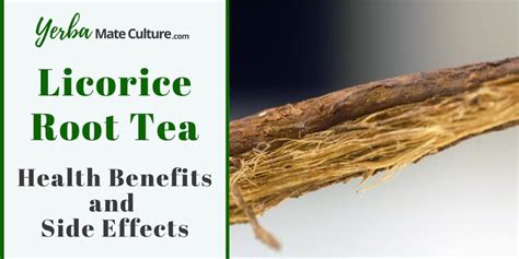 Licorice Root Tea Health Benefits and Side Effects