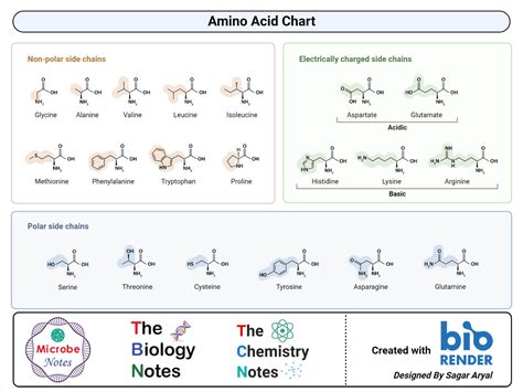 Amino Acid Polarity Chart