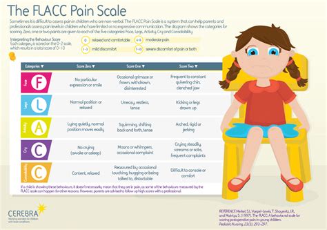 FLACC Pain Scale Infographic - Cerebra