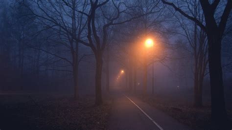 Dark Foggy Night Wallpapers - Top Free Dark Foggy Night Backgrounds ...