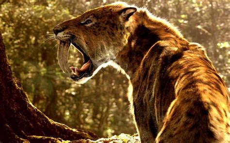 Sabre-Toothed Cat | Smilodon, Cat spirit, Sabertooth