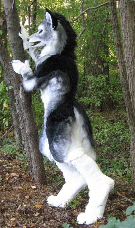 Silver werewolf side by Monoyasha | Anthro furry, Fursuit furry, Furry ...