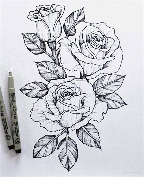 Rose Pencil Sketch