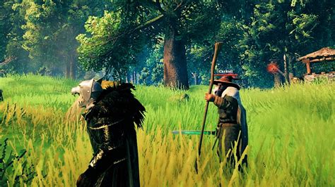 Valheim modder adds D&D-style followers | PCGamesN