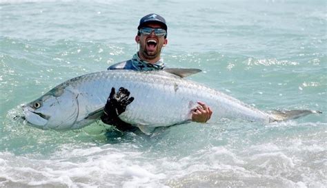 Fisherman catches huge tarpon from beach