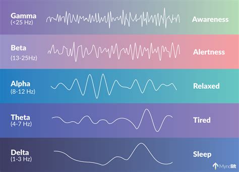 Brainwave Frequencies Explained