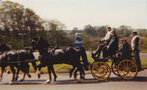 Horse Driving Trials | Past Events | Stanmer Preservation Society