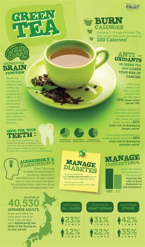 Green Tea 101: Health Benefits, History, Recipes, And More!